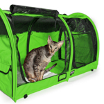 двойная выставочная палатка для кошек