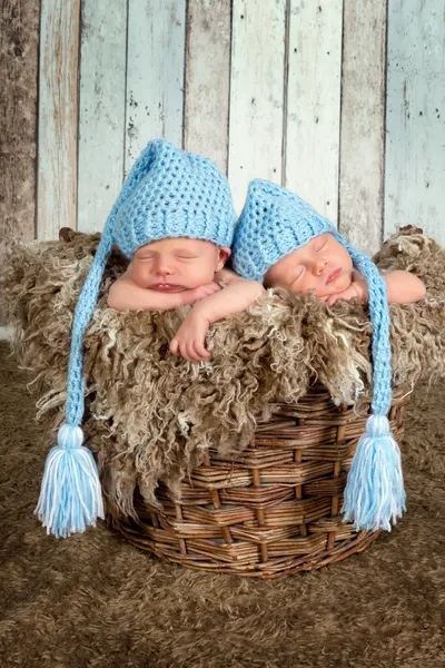 Baby корзину с близнецами — стоковое фото