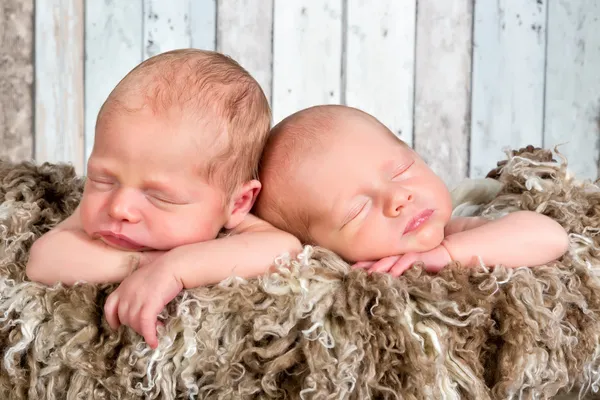 Новорожденных twin детские лица — стоковое фото