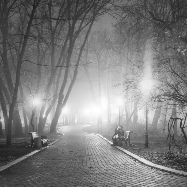 Романтические сцены в городском парке вечером. черный и белый — стоковое фото