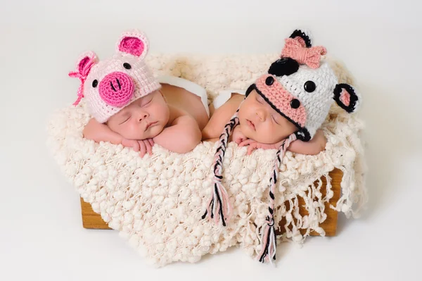 Спящая братских Твин новорожденных девочек носить вязаные свинья и корова шляпы — стоковое фото