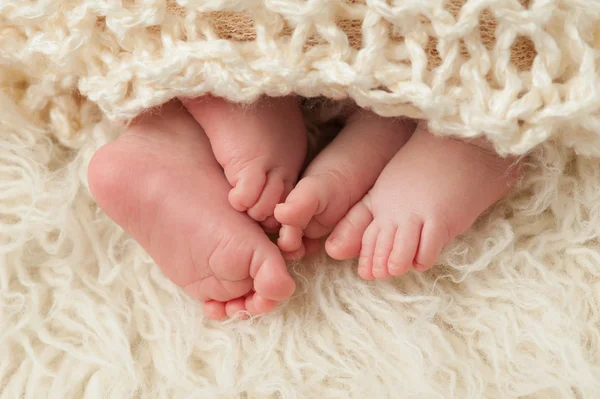 Ноги новорожденного близнецов — стоковое фото
