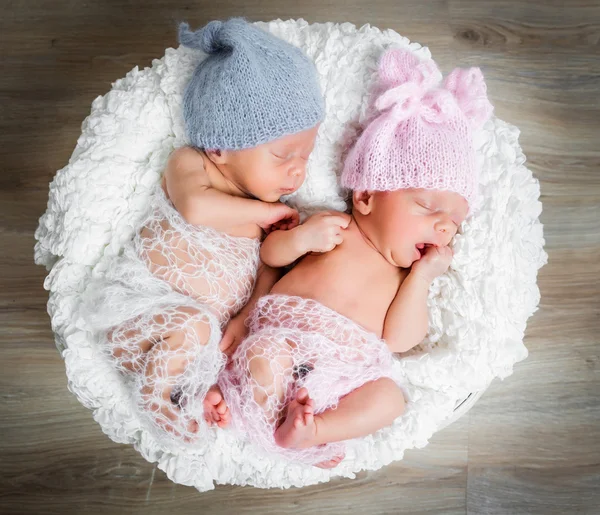 L новорожденных близнецов, спать в корзине — стоковое фото
