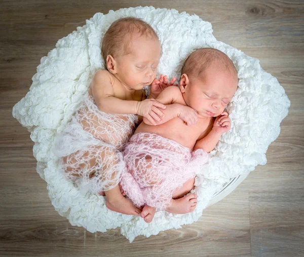 Новорожденных близнецов, спать в корзине — стоковое фото