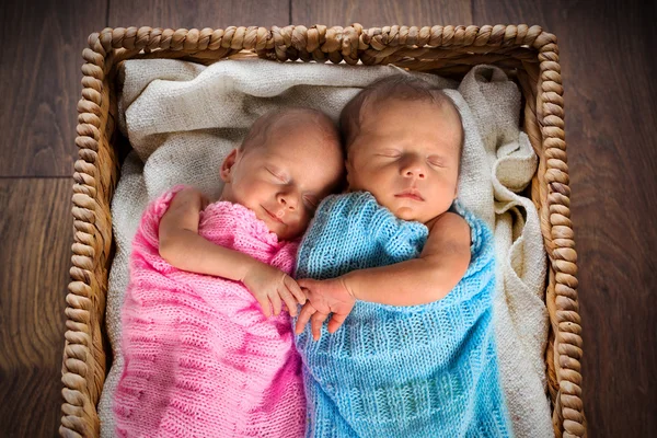Новорожденных близнецов, спать внутри плетеной корзине — стоковое фото