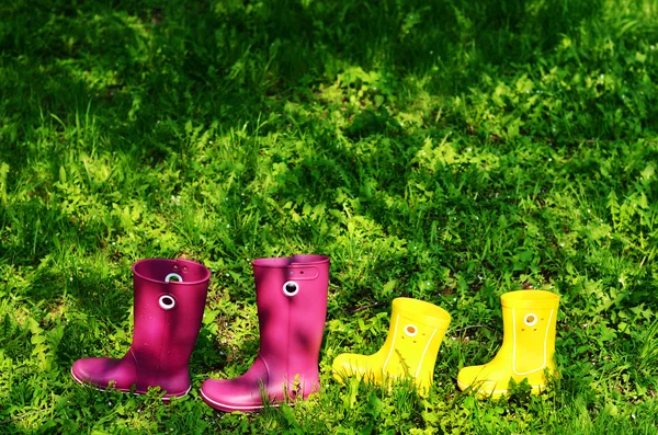 Резиновые сапоги для женщины и ребенок в зеленый лето трава — стоковое фото