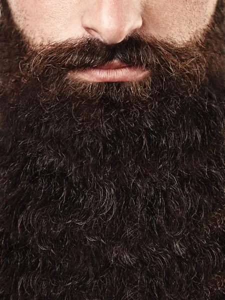 Длинный человек бороды и усов — стоковое фото