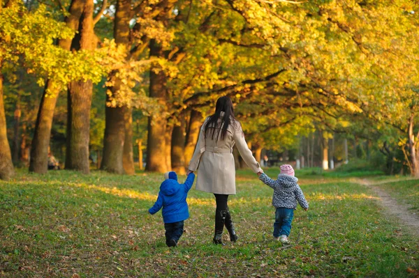 Мать с детскими близнецами на прогулке в осеннем парке — стоковое фото