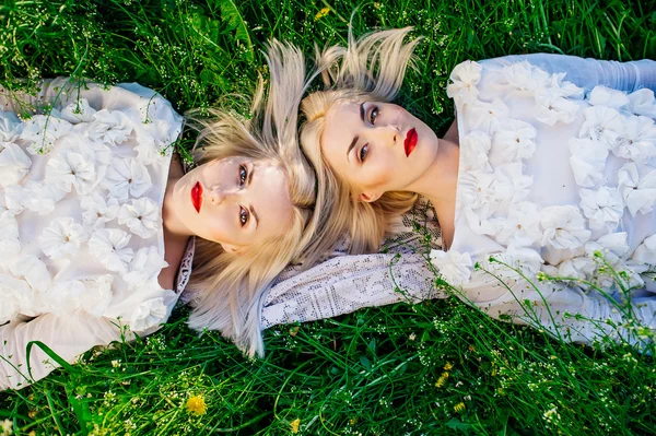 Близнецы сестры лежал на зеленой траве — стоковое фото