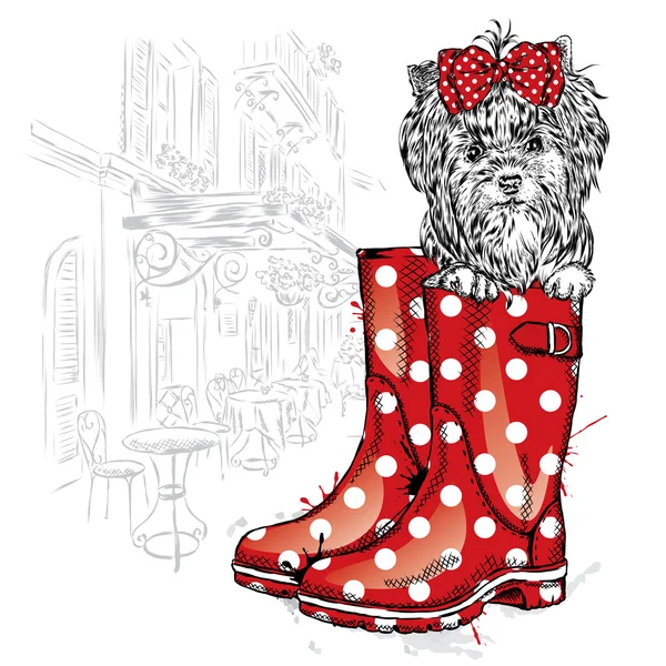 Красивая собака в резиновых сапогах. Йоркширский терьер. Векторная иллюстрация для поздравительных открыток, плакат или печать на одежде. Мода стиль &. В старинном стиле — стоковый вектор