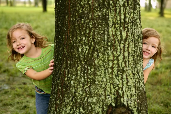 Две односпальные маленькие девочки играют в ствол дерева — стоковое фото