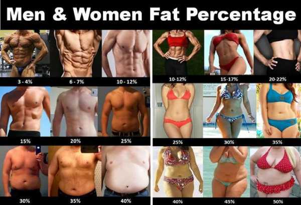 Фото сравнение жир и мышцы
