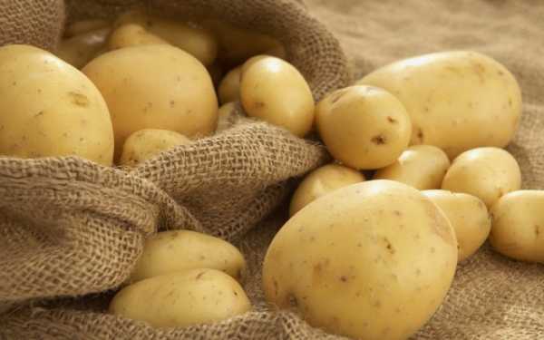 Как сушить картошку в сушилке