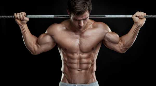 Какие упражнения качают какие мышцы