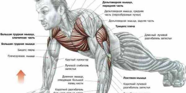 Комплекс упражнений для мышц