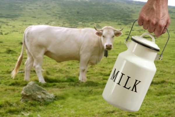 Организм не принимает молочные продукты