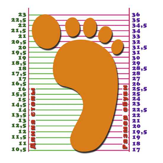 Размер ноги как измеряется