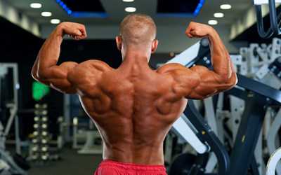 Упражнения для мышц спины для мужчин в тренажерном зале