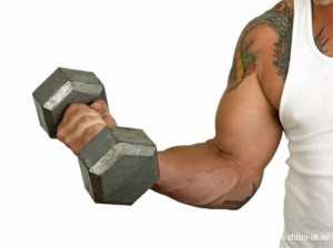 Восстановление гликогена в мышцах
