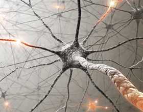 Восстановление нейронов головного мозга
